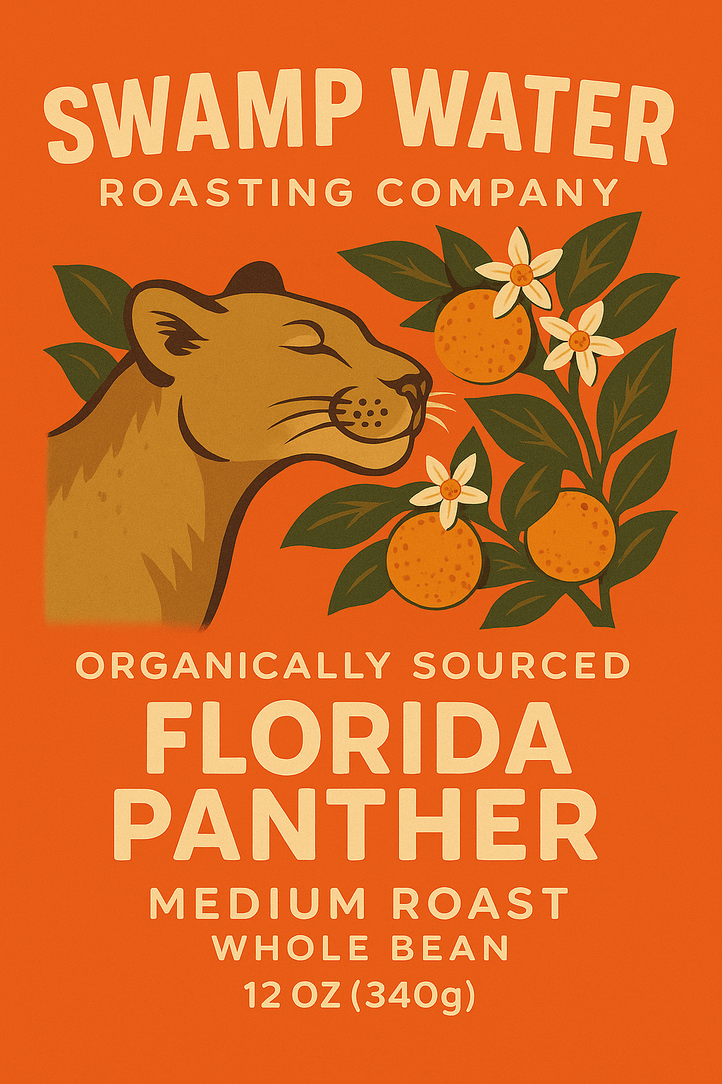 Florida Panther - Ethiopia Organic
